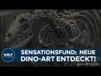 DINO-SKELETT IN LONDON: Neue Art entdeckt! - Wer war der "rätselhafte Läufer"?