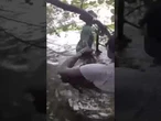 COUPLE OF HEROS: Big brother saves his missing sister with the help of a deputy #shorts #usa #new