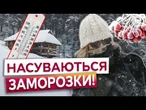 ВНОЧІ посипле МОКРИЙ СНІГ! В Карпатах НУЛЬОВА ВИДИМІСТЬ? Прогноз ПОГОДИ на тиждень