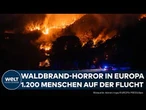 FEUER-HORROR: Trifft Südeuropa! Waldbrände wüten in Spanien, Frankreich und Italien