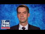 'This is crazy': Tom Cotton calls for investigation into PA Senate race