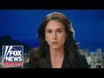 Gabbard: Their sacred trust was broken by ‘BAD ACTORS’