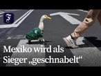 Hausente „Merlin“ übernimmt heimlich Maskottchenposten der WM