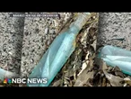 Couple finds message in a bottle detailing a lovers’ romantic date a decade ago
