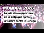 La joie des Belges après la victoire face au Sénégal • FRANCE 24