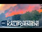 KALIFORNIEN: 