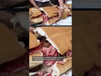 Mexico City festival unveils what it says is the world's largest 'torta' or sandwich
