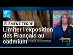 Une proposition de loi pour limiter l'exposition des Français au cadmium • FRANCE 24