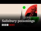 Russia's ambassador to UK appears to appears to laugh and dismiss Novichok inquiry | BBC News