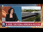 Gosek: Tusk pozwala Niemcom na wszystko! | E. Lewandowska
