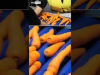 Farmer's carrot crops damaged by soaring temperatures