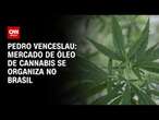 Pedro Venceslau: Mercado de óleo de cannabis se organiza no Brasil | CNN 360º