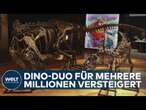 LONDON: Jurassic Sale - Dino-Fossilien für 15 Millionen Euro unter den Hammer gebracht!