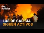 INCENDIOS: El FUEGO en TARIFA se da por ESTABILIZADO y los DESALOJADOS pueden VOLVER a sus CASAS