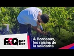 Pas 2 Quartier : À Bordeaux, les raisins de la solidarité • FRANCE 24