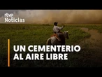 BRASIL: Los INCENDIOS arrasan el PANTANAL, MAYOR HUMEDAL tropical del PLANETA | RTVE Noticias