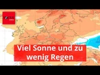 3 Grad über dem Durchschnitt: Der Juni 2026 wird zu heiß