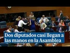 Dos diputados del PP y PSOE se enzarzan y casi llegan a las manos en la Asamblea de Madrid