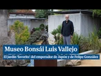 Museo Bonsái Luis Vallejo: la colección que enamoró a Felipe González y al emperador de Japón