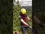 Dog rescued after falling 40 feet down Washington cliffside