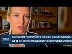 ALICE WEIDEL: Schwere Vorwürfe! Die AfD-Bundeschefin reagiert in diesem Video!