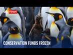 Conservation funds 'frozen' by the UK government concerns environmentalists