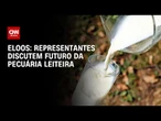 Eloos Agronegócio: Representantes discutem o futuro da pecuária leiteira | HORA H