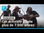 Zimbabwe : plus de 7 500 arbres plantés depuis 2020 • FRANCE 24