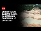 Garimpo ilegal na Amazônia contamina 1/5 dos peixes | CNN NOVO DIA