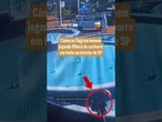 Câmeras flagram homem jogando filhote de cachorro em fonte no interior de SP