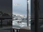 Golden retriever spotted riding jet ski in Florida