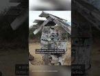 O enigma de Floreana: assassinatos, desaparecimentos e segredos em uma ilha paradisíaca