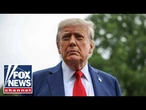 NATO allies urged to STEP UP as Trump puts nations on notice