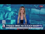 Informacje Telewizja Republika 20.10.2025 godz. 12:30