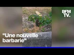 Un arbre planté pour rendre hommage à Ilan Halimi abattu à Épinay-sur-Seine