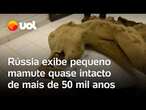 Rússia: Mamute filhote que viveu há 50 mil anos é encontrado praticamente intacto na Sibéria; vídeo