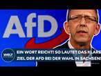 SACHSEN: Nur ein Wort reicht! So lautet das klare Ziel der AfD bei der Landtagswahl im September!