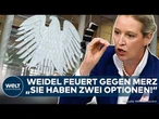 DEUTSCHLAND: Beben im Bundestag! Brisante Aussage von Weidel! AfD macht Merz ein Angebot