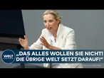 BUNDESTAG: Alice Weidels Rede richtet sich an CDU! Kern- und Kohlekraftwerke? "Das wollen Sie nicht"