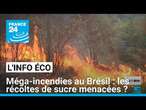 Méga-incendies au Brésil : les récoltes de sucre menacées ? • FRANCE 24