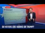 What are Harris and Trump's net favourability ratings?