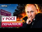 ПІСЛЯ ПОЧУТОГО ВИ ПОСМІХНЕТЕСЬ!  ГОРЯТЬ НОВІ СКЛАДИ Wildberries! Економіка КРЕМЛЯ на ДНІ!