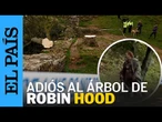 Dos hombres se enfrentan a un juicio por talar el icónico árbol de Robin Hood | EL PAÍS