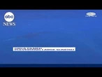 Orcas filmed pulverizing sunfish