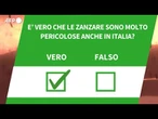 Ansa VERIFIED - E' vero che le zanzare sono molto pericolose anche in Italia?