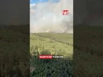 WIELKI POŻAR POD WARSZAWĄ! PŁONIE JUZ 300 HA LASU