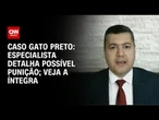 Caso Gato Preto: Especialista explica direito de trânsito e punições | AGORA CNN