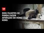 Dois filhotes panda fazem aparição em Hong Kong | AGORA CNN