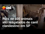 Mais de 100 animais são resgatados de canil clandestino em Embu das Artes (SP); vídeo