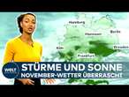 WETTER DEUTSCHLAND: Trüb im Norden – Wo man im November trotzdem die Sonne sieht